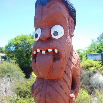 Nouvelle Zélande: Ile du Nord