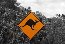 Australie Côte-Est : De Cairns à Sydney