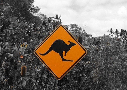 Australie Côte-Est : De Cairns à Sydney